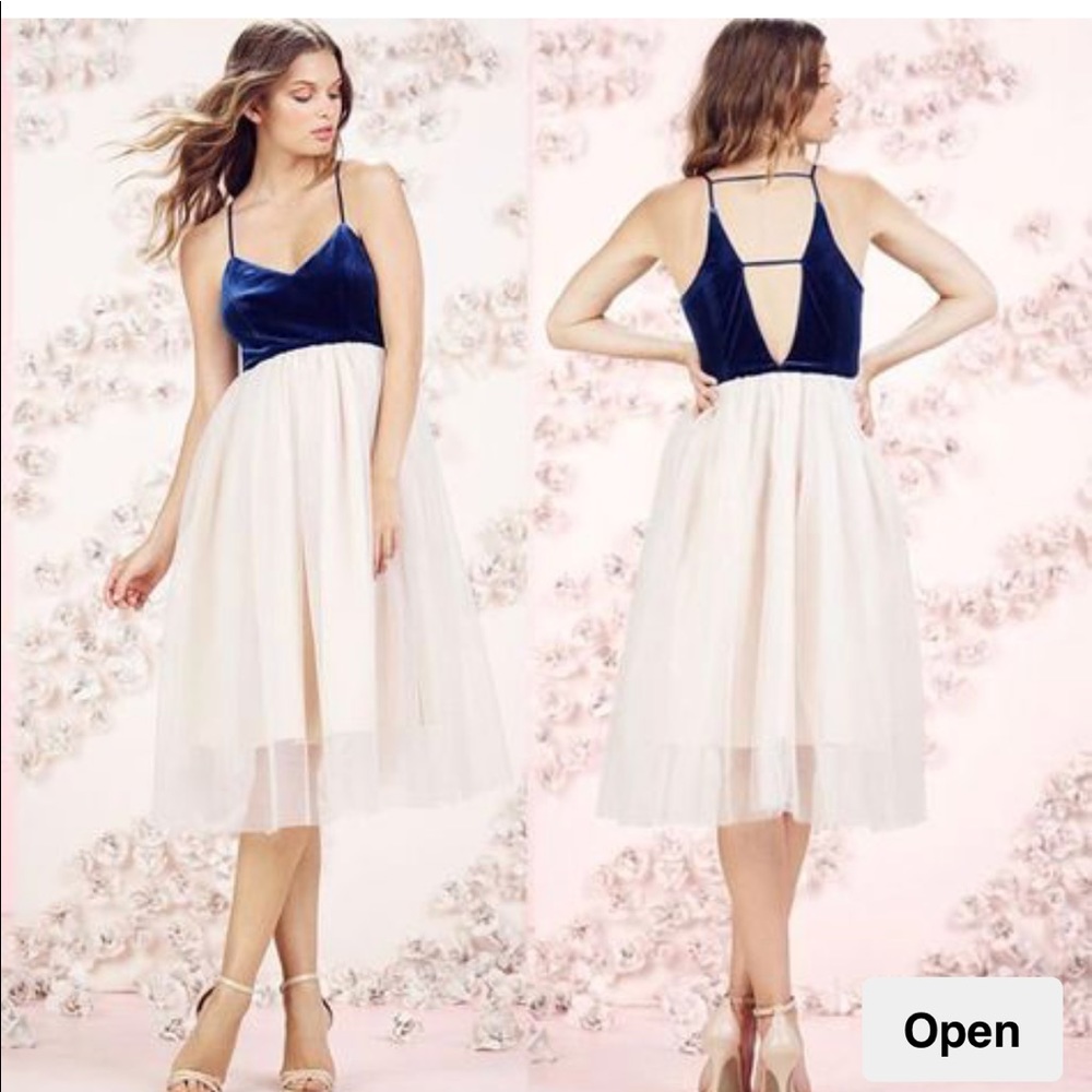 LC Lauren Conrad Runway Velvet and Tulle Dress